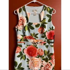 NWT Enfocus Studio Light Blue Large Floral-Print Dress
